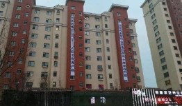 星城公司最新爆料消息,揭秘最新项目背后的惊人内幕